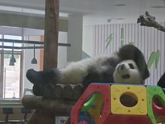 -西安秦岭野生动物园