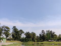 -两河城市森林公园