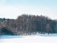 -长春净月潭风景名胜区