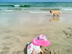 -西涌国际滨海旅游区