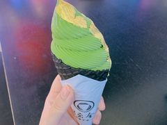 -羽至金时(柏威年店)