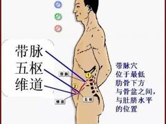 -裕和堂中医推拿艾灸(太古汇臻品店)