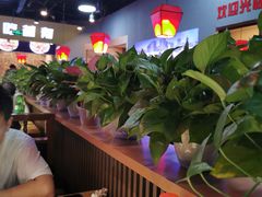 -马家大院铁锅炖(京粮广场店)