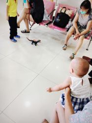 -苏州大学附属儿童医院(景德路院区)