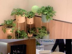 -感智盲人按摩·艾灸·肩颈SPA(岗厦店)
