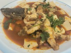 狗鱼一鱼两吃-煲来饱去冷水鱼