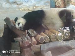 -海南热带野生动植物园