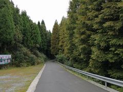景点-山王坪喀斯特国家生态公园