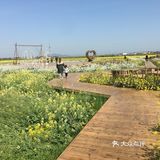 苏南第一方，庆丰稻花香