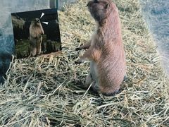 -海合安武汉极地海洋公园