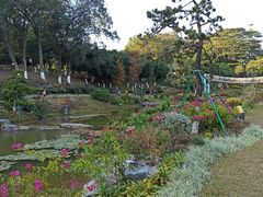 -东莞植物园