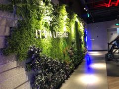 -威尔仕健身·游泳(KING88店)