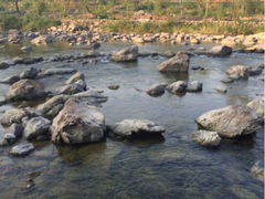-下河湾农家乐