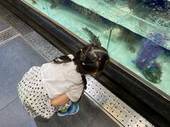 -盒马鲜生(新都心店)