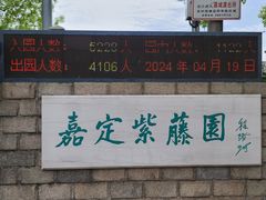 -嘉定紫藤园