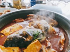 -新天明砂锅鱼头煲