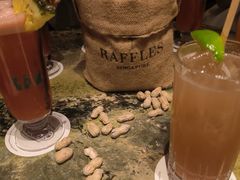 -Long Bar(莱佛士酒店)