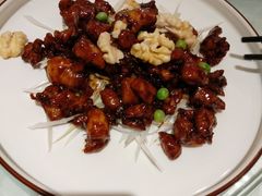 -金蝉食府(维吉奥广场店)