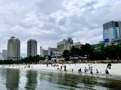 -台场海滨公园船码头