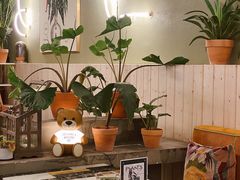 -PlantsEatery·植物食堂(REX春熙店)