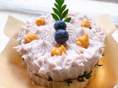 -野草莓自由市场