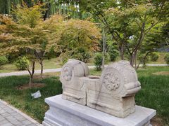 -莲花池公园