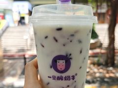 -一只酸奶牛(八一路店)