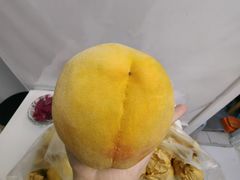 -樂桃源奉贤黄桃种植采摘基地