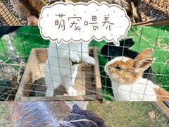 -栖露营camping·天幕烧烤·团建拓展·采摘营地