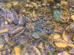 -集品鲜湾·蒸汽海鲜自助料理(青岛银座和谐广场店)