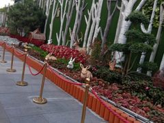 -西单明珠商场