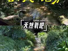 -中国茶叶博物馆(双峰馆区)