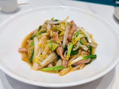 -丁老爷子苏香圆