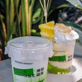 清凉到我的心巴上‼️薄荷森林来成都了