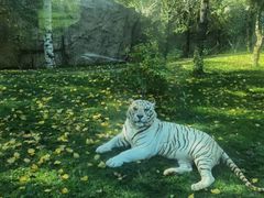 -北京野生动物园