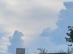 -金鸡山公园