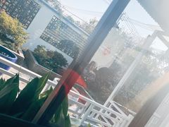 -大队长大灶鹅