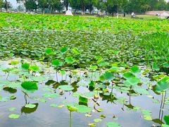 -滆湖低碳生态公园