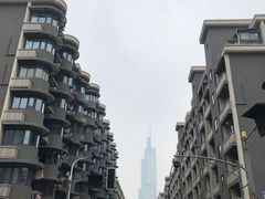 -紫峰大厦