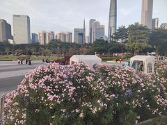 -海心沙亚运公园