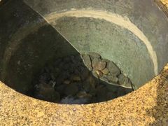 -广东温泉宾馆