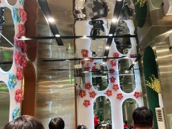 -卡尔诗·科技美肤连锁