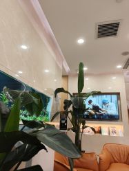 -臻悦医疗美容整形门诊部