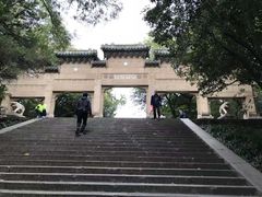 -灵谷景区