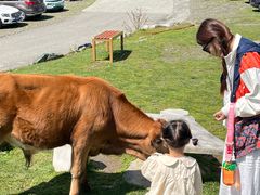 -硗碛藏寨·神木垒景区