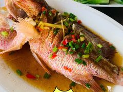 -原龙海鲜大排档(美食地标店)