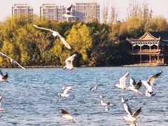 -云龙湖旅游景区