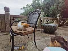 -韬光茶庵