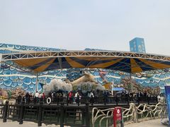 -华夏文旅海洋公园