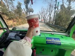 -茶颜悦色(岳麓山顶店)